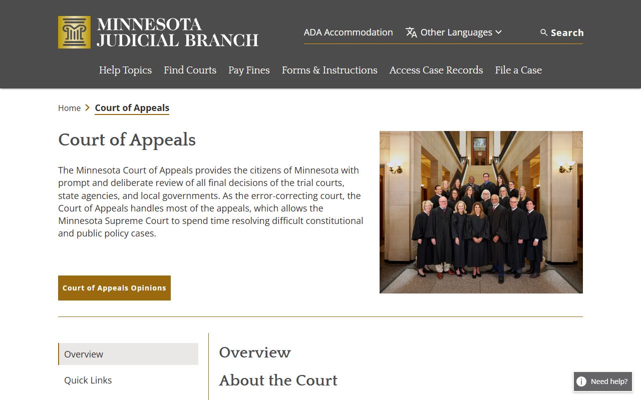 Blue Earth County District Court records and Minnesota Court of Appeals source